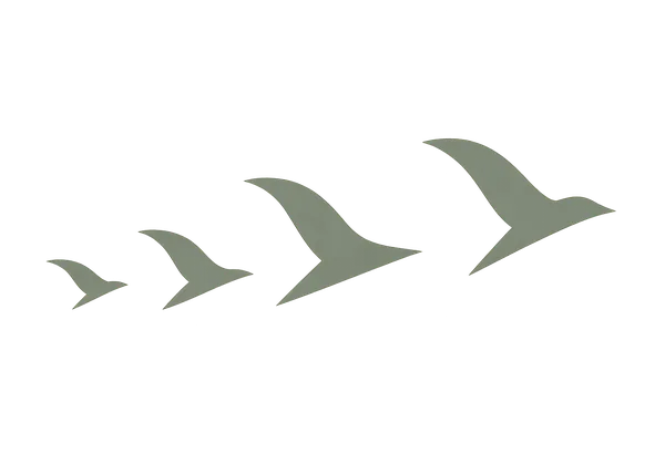 Flock features overview